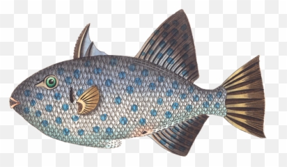 Fishsource - Fish Emoji,Emotion Angler 11