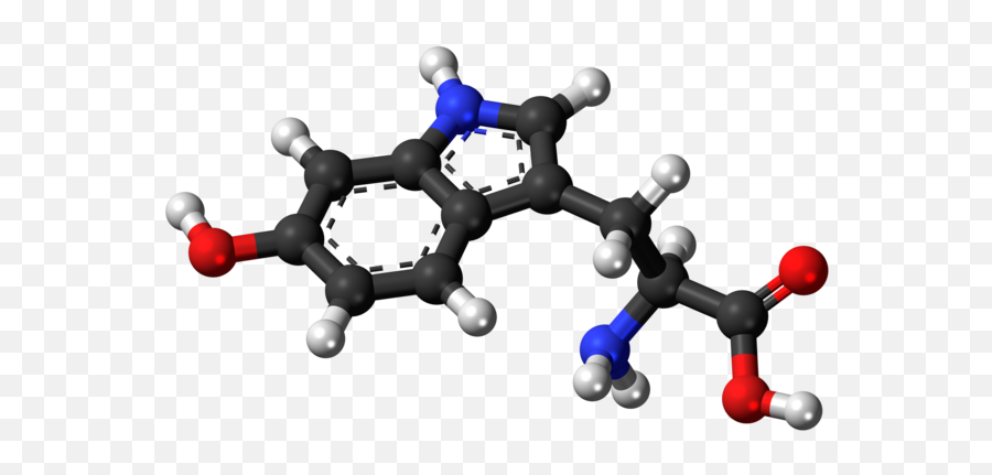 5 - Basic Biochemistry Emoji,Serotonin And Emotions