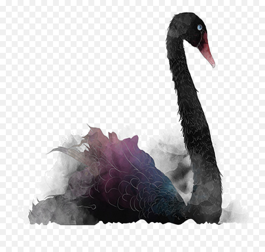 The Making Of A Spatial Shift Curve - Black Swan Art Free Emoji,Li And Stitch Emotions
