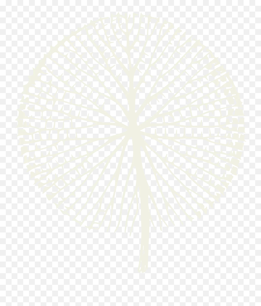 União Amazônia Viva Help Fight Covid - 19 In The Amazon Victorian Water Lily Underside Emoji,Ver Emojis Causa Cegueira União Amazônia Viva Help Fight Covid - 19 In The Amazon Victorian Water Lily Underside Emoji,Ver Emojis Causa Cegueira