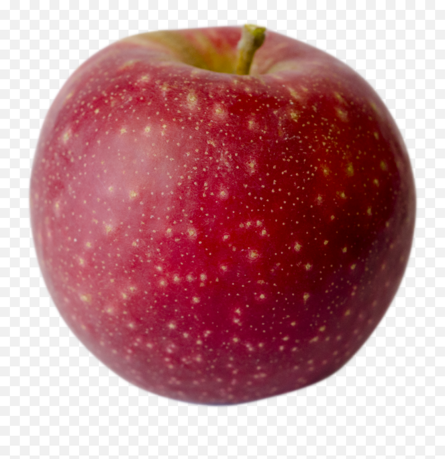 Our Lovely Apples Champlain Orchards Emoji,Emoji Apple Pomme