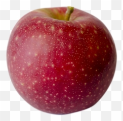 Our Lovely Apples Champlain Orchards Emoji,Emoji Apple Pomme