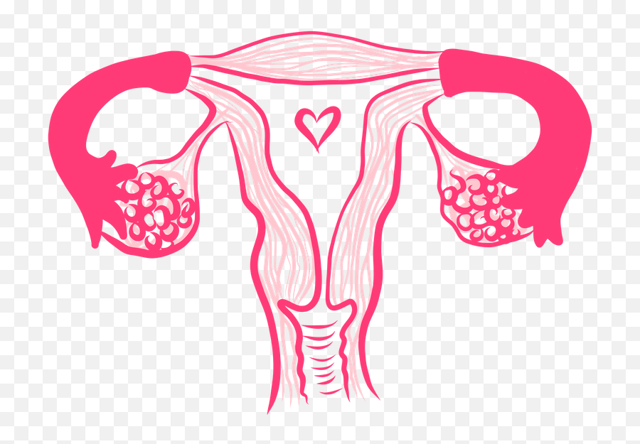 Anatomy - Uterus Sticker By Thirdarcana White 3x3 In Emoji,How To Say Horn Dog Using Emojis
