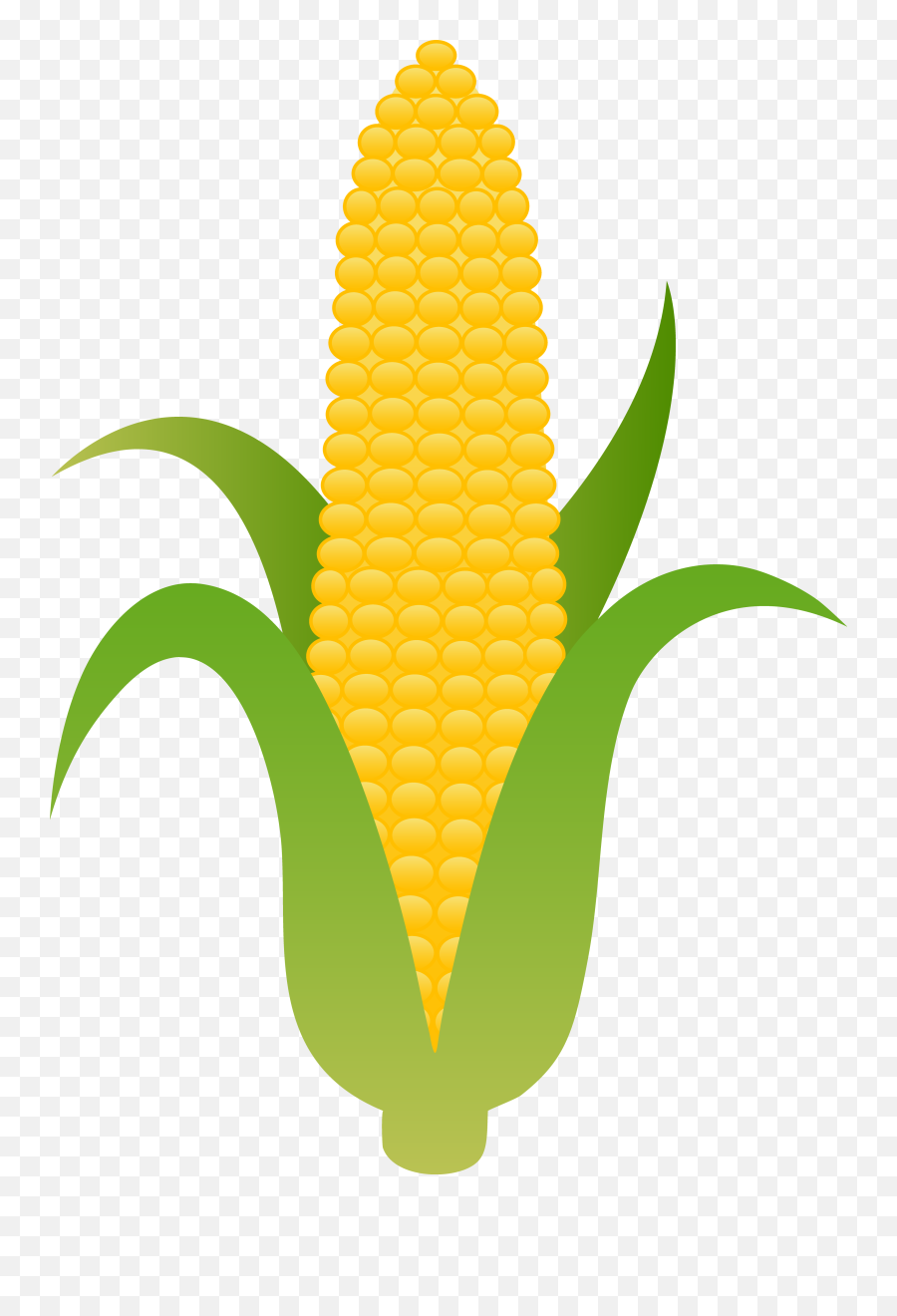 Ear Of Yellow Corn - Clip Art Corn Cob Emoji,Corncob Emoji