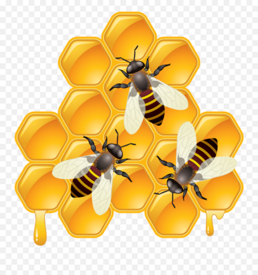Bee Hive Clipart Queen Bee - Working Bees Full Size Png Dessin Miel Abeille Emoji,Hive Emoji