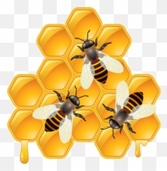Bee Hive Clipart Queen Bee - Working Bees Full Size Png Dessin Miel Abeille Emoji,Hive Emoji