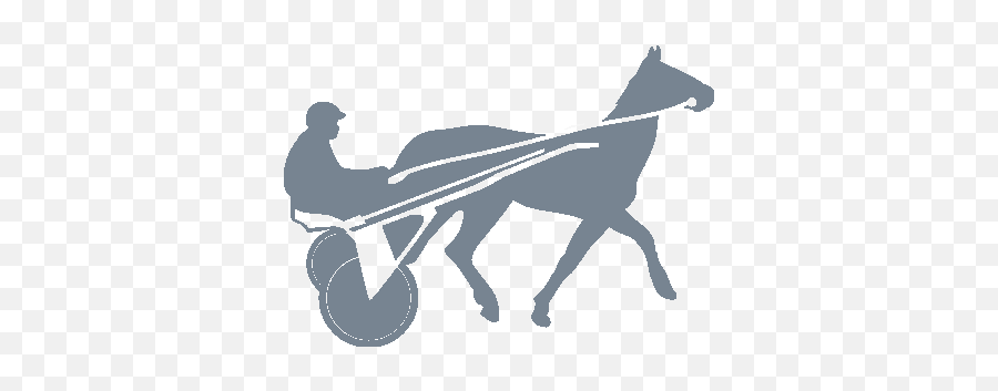 Horse Racing Racing News Sports News Racing And Sports - Horse Harness Emoji,Horse Head Emoji