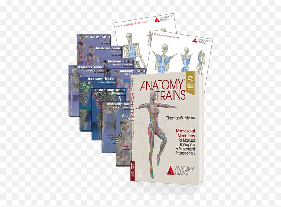 Anatomy Trains Complete Starter Package - For Running Emoji,Arm Muscles Emoji