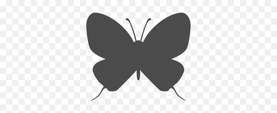 Identify Butterflies - Single Color Butterfly Emoji,L Black Swallowtail Butterfly!! Smile Emoticon