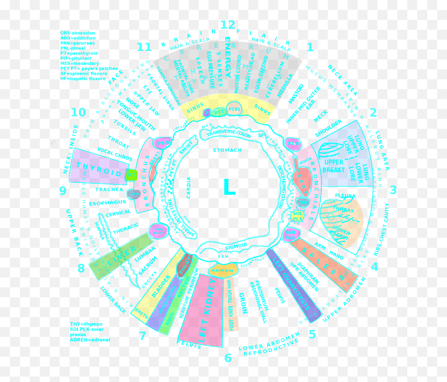 Pin - Dot Emoji,Charts Irridology Reflexology Emotions