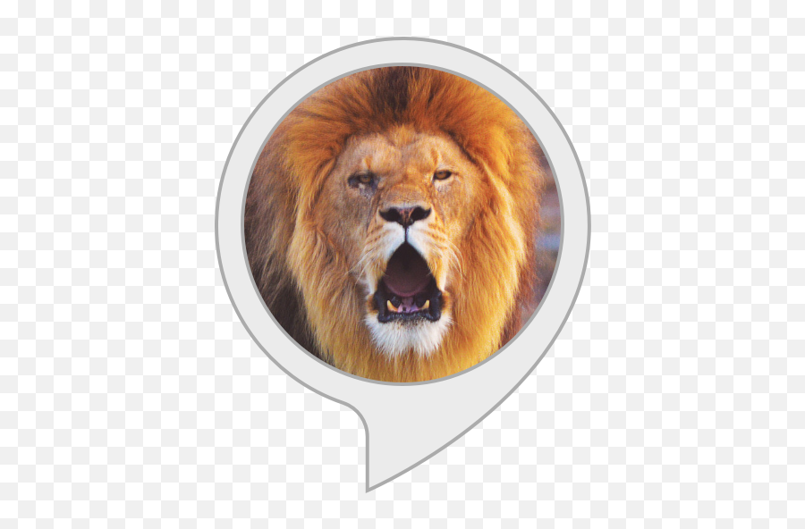 Alexa Skills - Spirit Of A Lion God Emoji,Https://news.google.comlaugh Emoticon