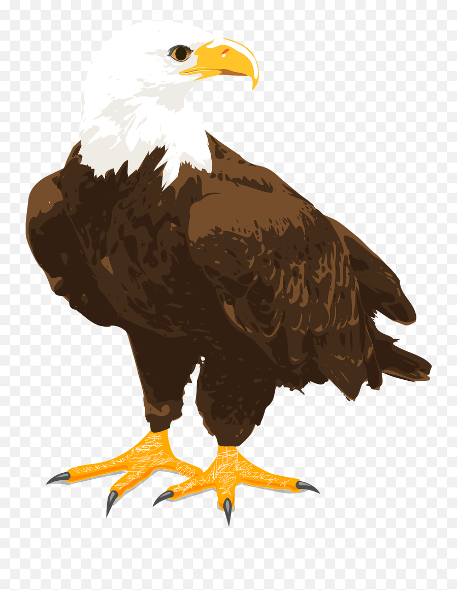 Bald Eagle Clipart - Free Bald Eagle Clipart Emoji,Bald Eagle Emoji