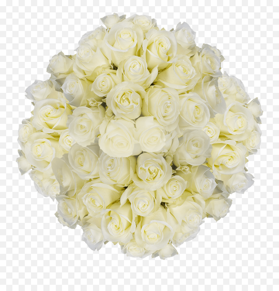 Best Big White Roses - Best White Roses Emoji,Rolling Roses Mixed Emotions