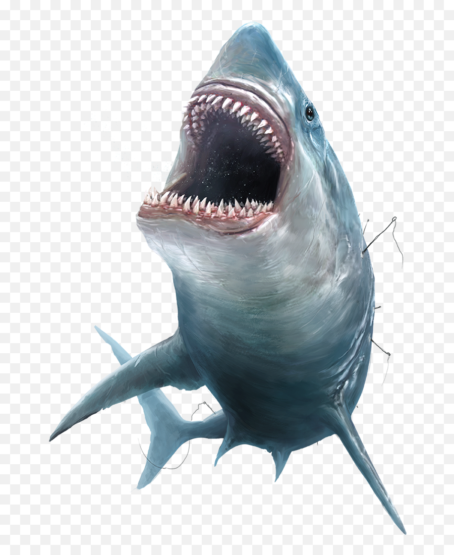 Face Megalodon Shark Transparent Background Png Mart Emoji,(^^^) Shark Emoji