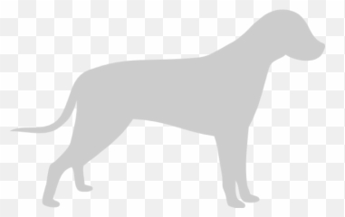 Popular Articles - Guard Dog Emoji,Dog Tail Emotions