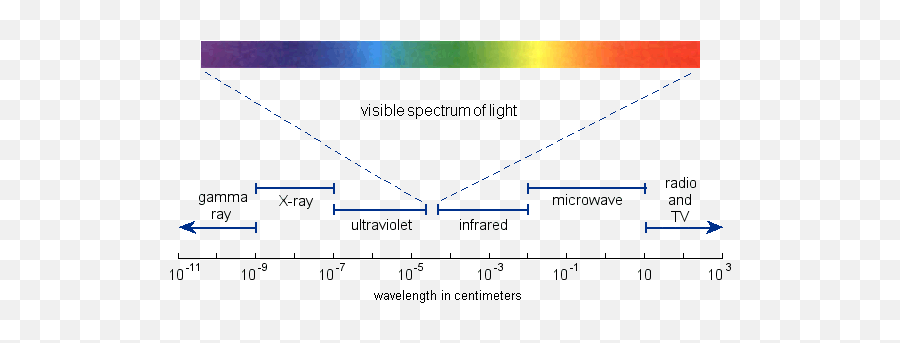 Primate Color Vision - Plot Emoji,Whats The Movie About The People Who Lose All Of Their Emotions And Cant See In Color