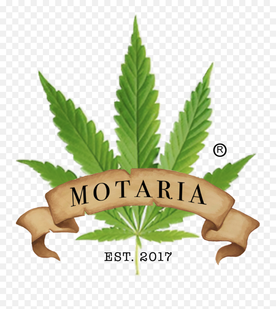 Accessories U2014 Motaria - Cannabis Leaf Emoji,Emoticon De Chancla