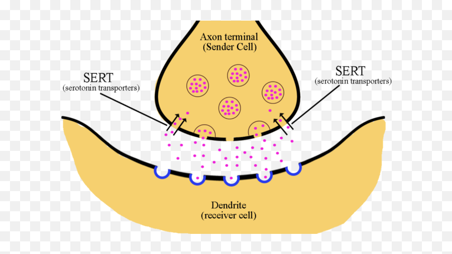 Ein Inoffizieller Leitfaden - Serotonine Sert Receptor Emoji,Jordan Schlansky Emotion