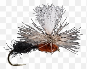 2018 Backcountry - Sage Fly Fish Spiked Emoji,Raw Emotion Tees