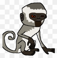 Vervet Monkey - Vervet Monkey Cartoon Emoji,Little Monkey Emojis