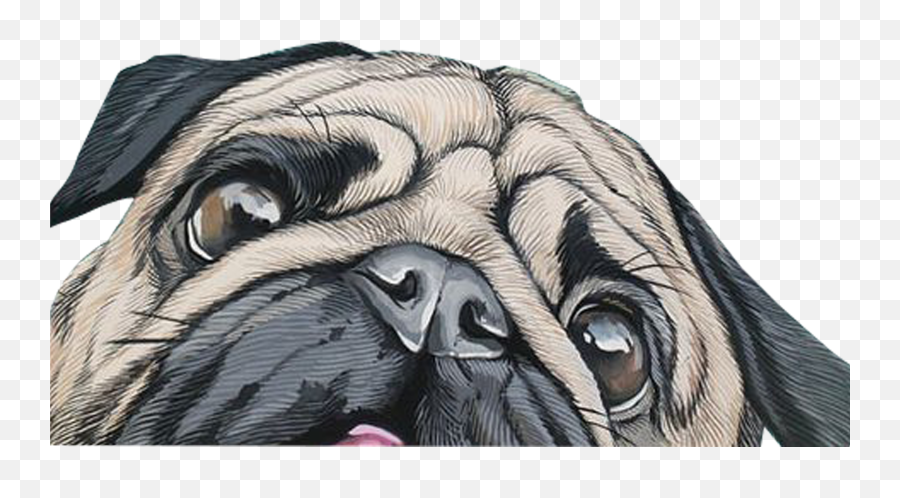 Download Partition Wall Wallpaper Dog Telephone Paper - Pug Emoji,Emoticon Partition