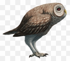 Mothman Png Transparent Images Png All Emoji,Huge Emoji Owl