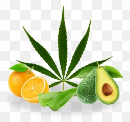 About Cbd - Grass Roots Skin Emoji,Weed Emoji