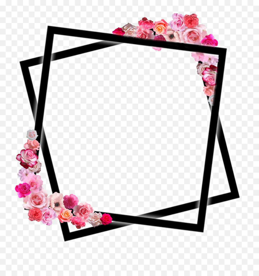 Roseframe Pink Pinkflower Sticker - Picture Frame Emoji,Amber Rose Emoji