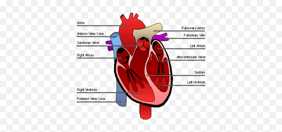 Day Poems And Erotic Eroticisms - Vidine Sirdies Sandara Emoji,My Bloody Valentine Emotions