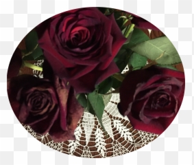 Death A Poem In My Pocket - Hybrid Tea Rose Emoji,Deep Emotions Roses