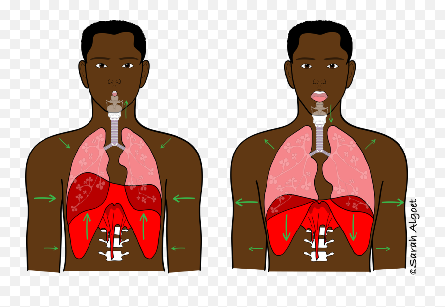 Breath - Voicescienceworks Do Humans Make Sound Emoji,Men Singing Emotions