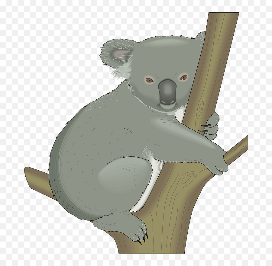 Koala Hugging Tree Clipart - Koala Clipart Emoji,Koala Emoji Png