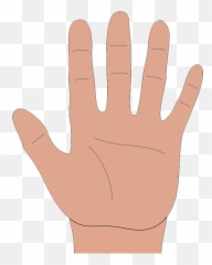 Free Free Anatomy Images Download Free Emoji,Flyff Emoticon