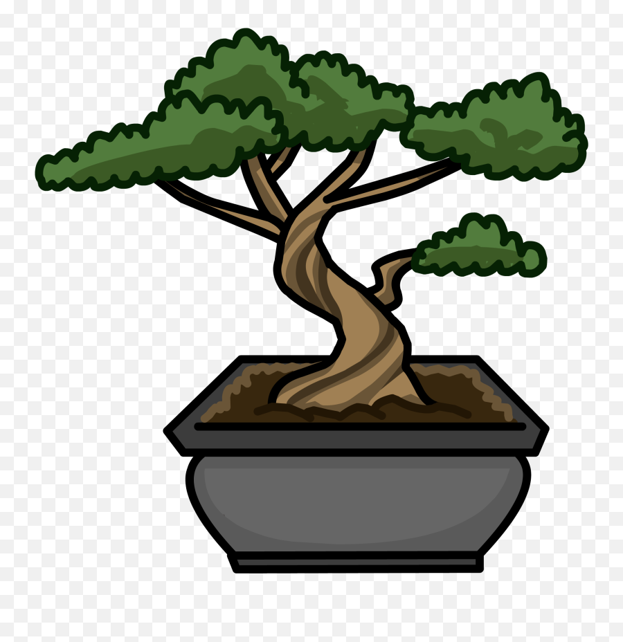 Bonsai Tree - Bonsai Tree Cartoon Png Emoji,Bonsai Emoji