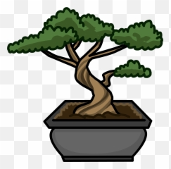 Bonsai Tree - Bonsai Tree Cartoon Png Emoji,Bonsai Emoji
