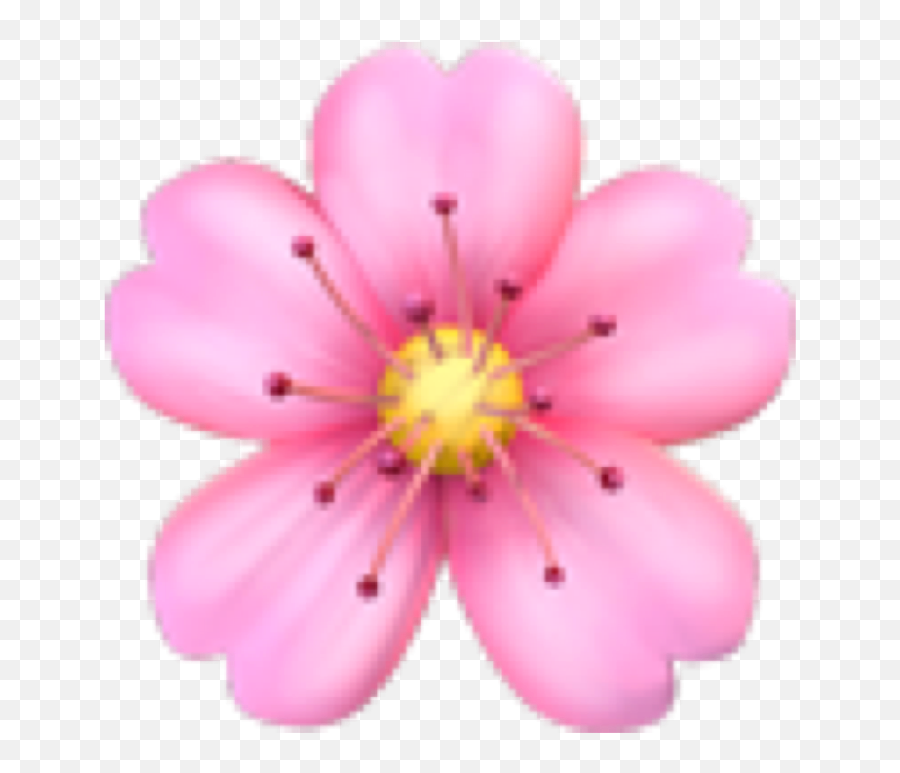 F L O W E R E M O J I T E X T - Zonealarm Results Transparent Background Cherry Blossom Emoji,Sunflower Emoji Iphone