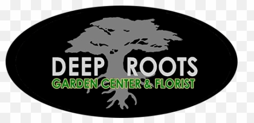 Manhattan Beach Florist Flower Delivery By Deep Roots - Deep Roots Garden Center Emoji,Deep Emotions Roses
