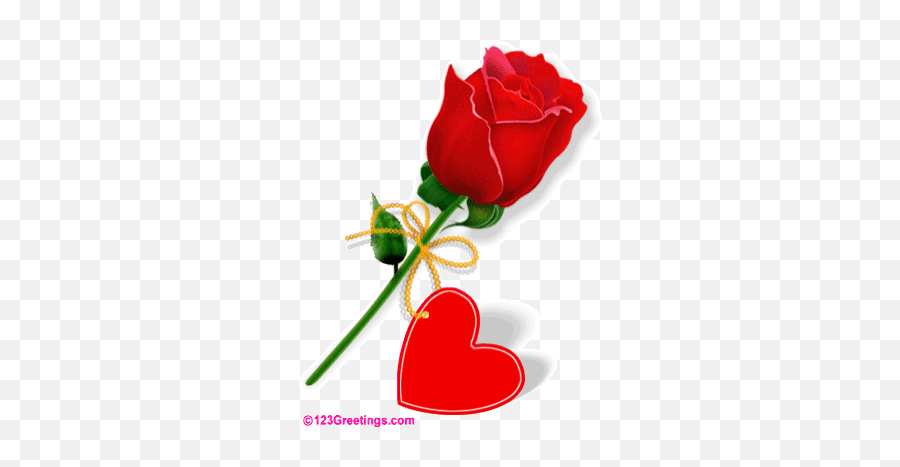 Top Love Picture Stickers For Android U0026 Ios Gfycat - Love Flowers Emoji,Iphone New Emojis Roses