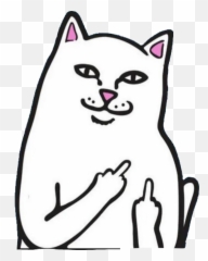 Gato Fuck Sticker - Ripndip Cat Transparent Emoji,Emojis Grosero