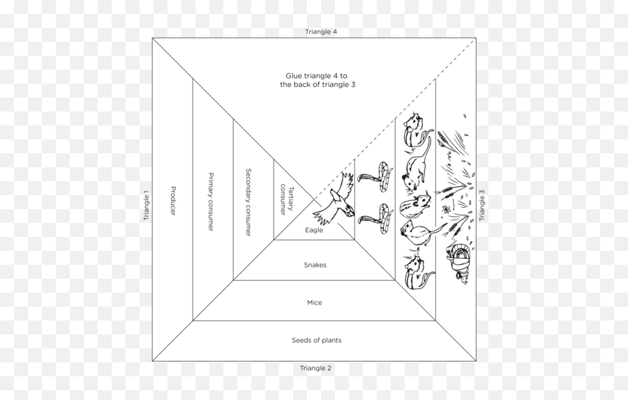 23 Feeding Relationships Interactions And Interdependence - Ten Percent Law Diagram In Pencil Emoji,Primary Vs Secondary Emotions List And Relation