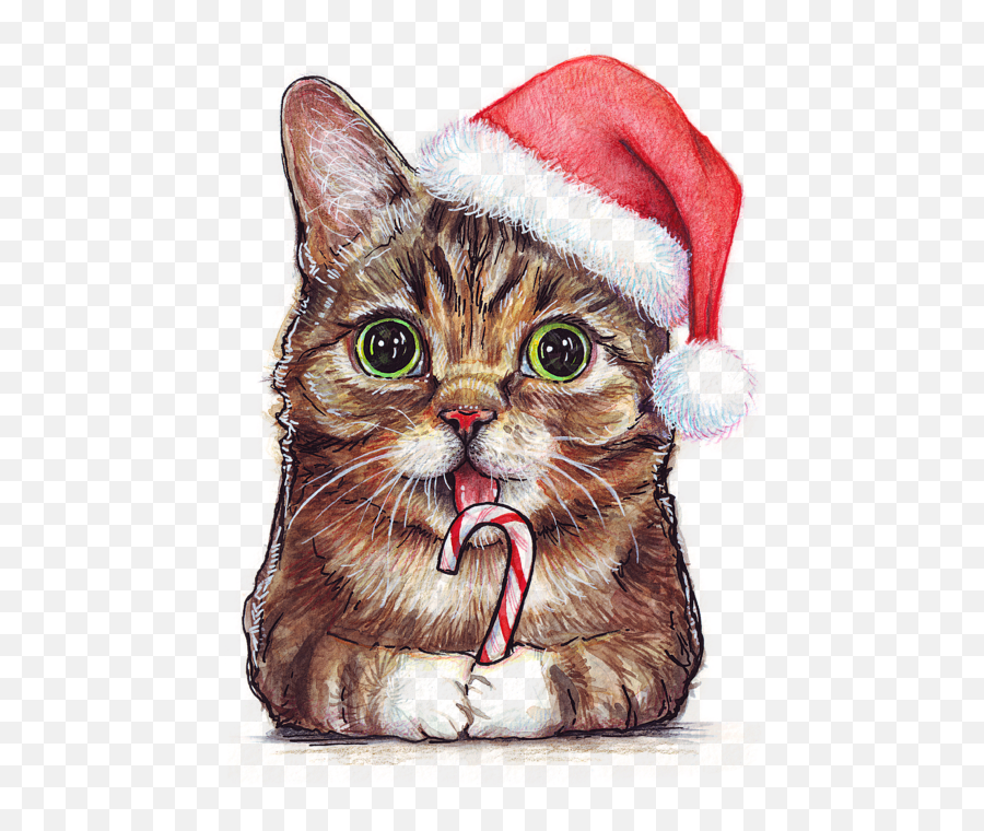 Cat Santa Christmas Animal Bath Towel For Sale By Olga Shvartsur - Art Christmas Cat Emoji,Grumpy Cat Emotion Poster