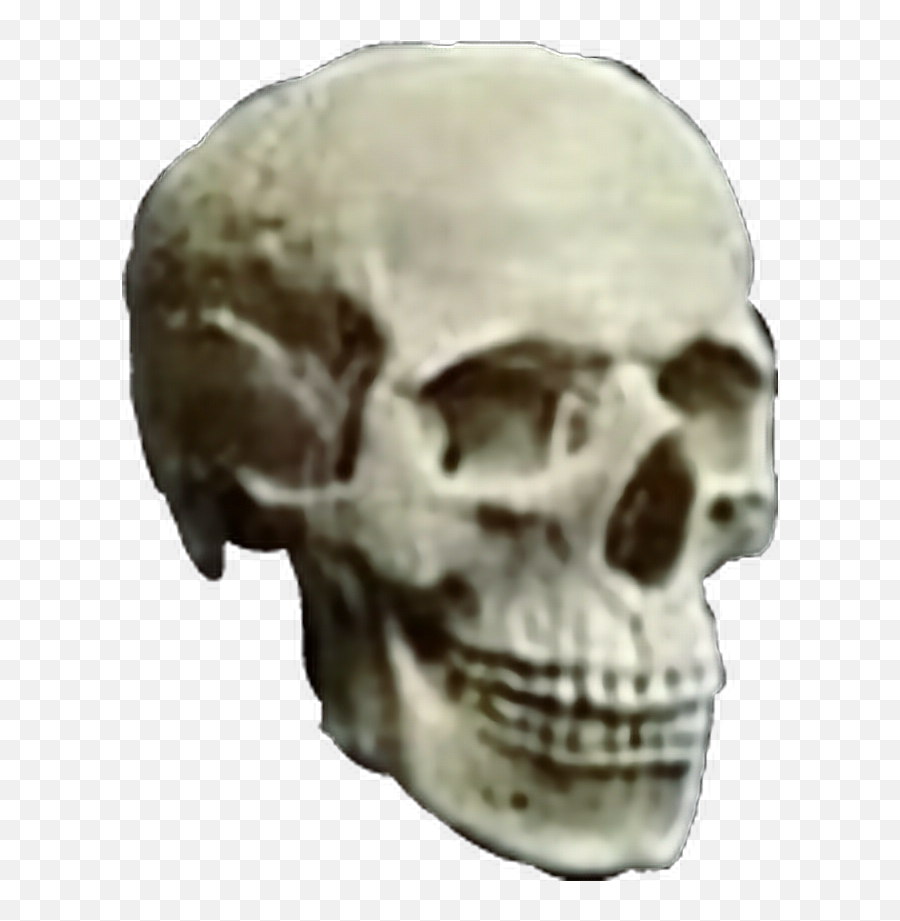 Skull Skulls Skeleton Head Heavymetal Emoji,Man And Skull Emoji