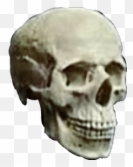 Skull Skulls Skeleton Head Heavymetal Emoji,Man And Skull Emoji