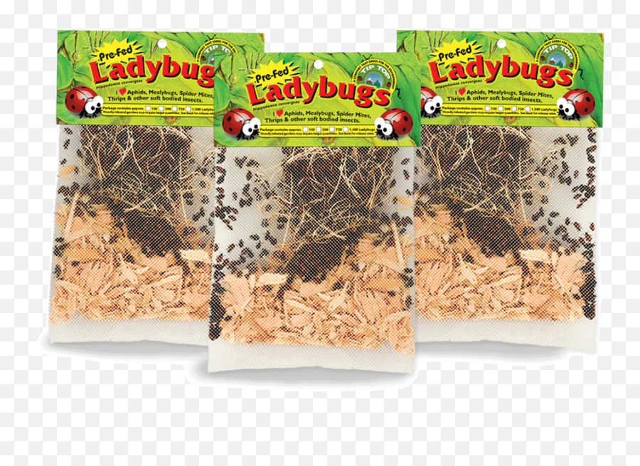 Buy Live Ladybugs Online U2013 Green Thumb Nursery Emoji,You've Had Enough Emotions Today Ladybug