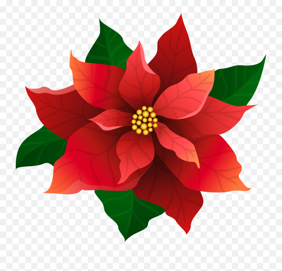 The Most Edited - Christmas Poinsettia And Candles Emoji,Poinsettia Emoji