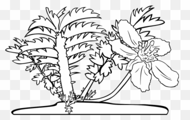 Common Eider Png Svg Clip Art For Web - Download Clip Art Floral Emoji,Sad Emoji Coloring Page