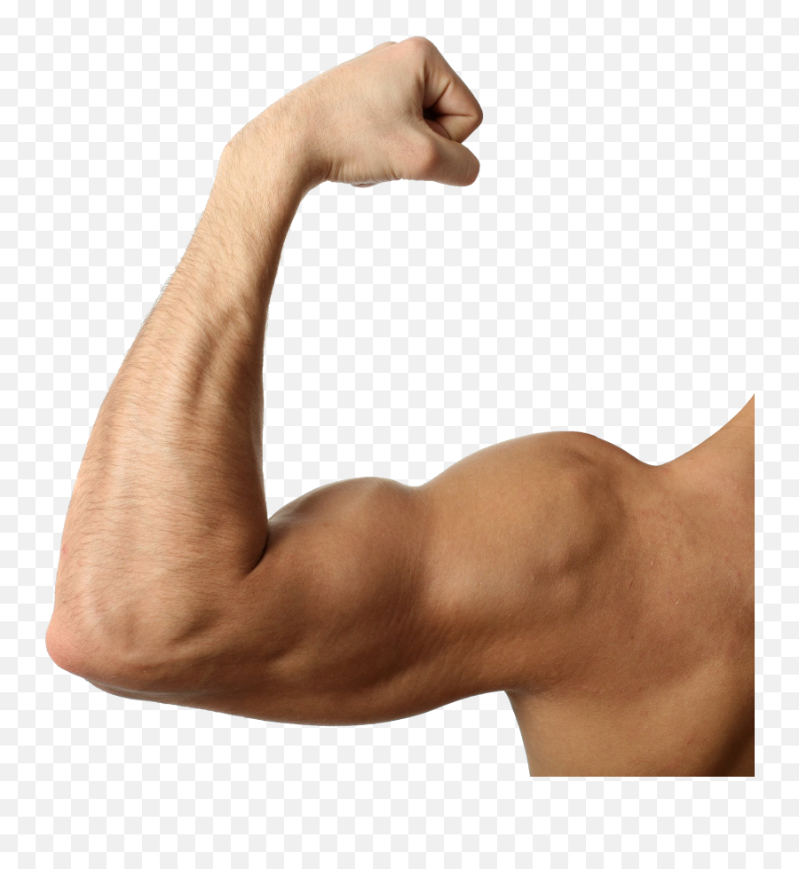 Free Muscle Arm Png Download Free Clip - Muscle Arm Png Emoji,Strong Arm Emoji