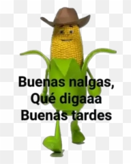 Mazorca Stickers For Whatsapp - Mazorcas Groseras Emoji,Significado Emoticons Whatsapp Inglês