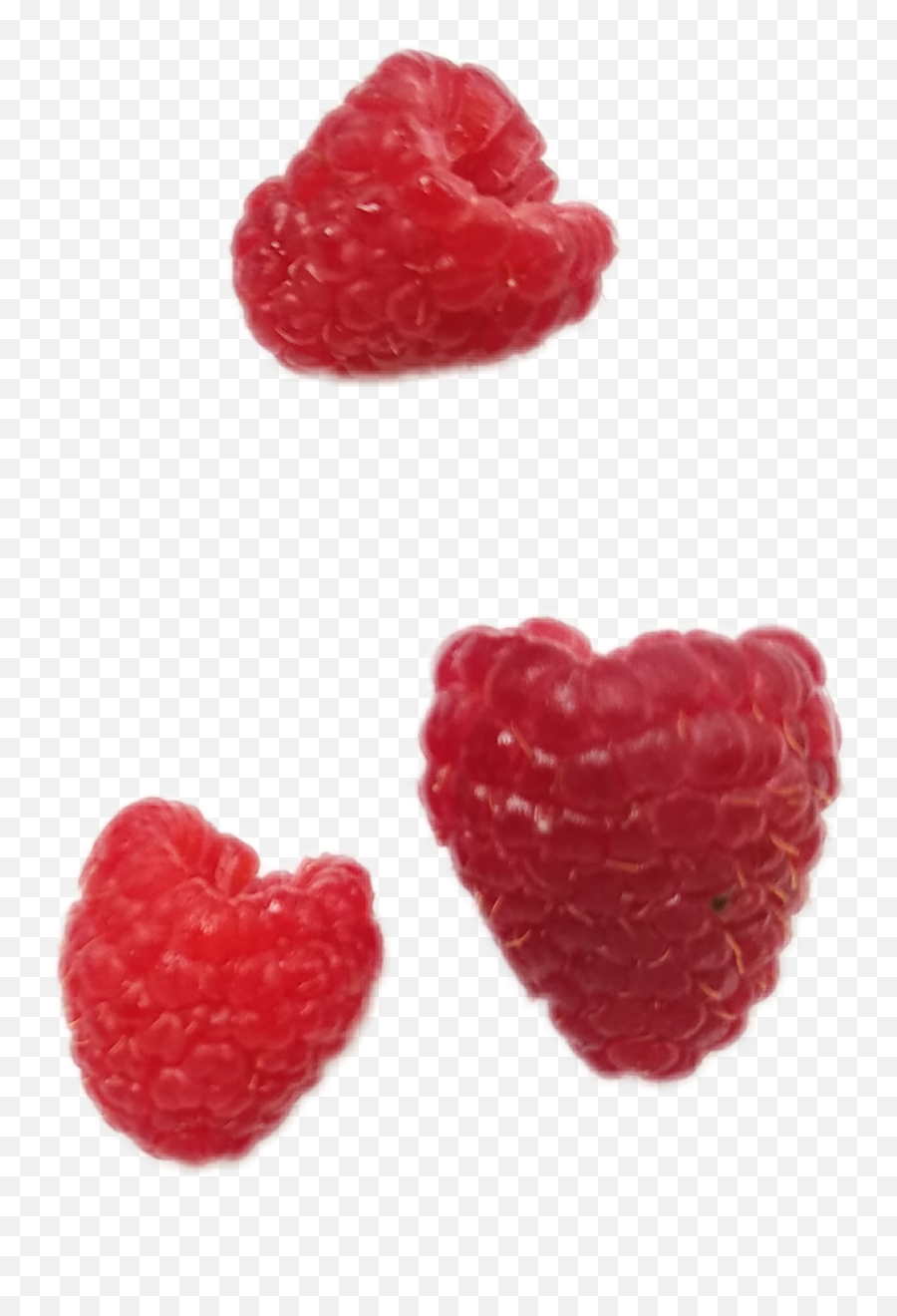 Raspberries Raspberry Sticker - Strawberry Niche Meme Emoji,Raspberry Emoji