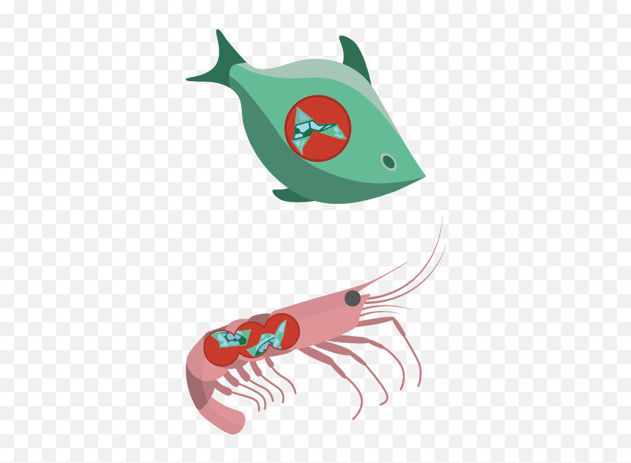 Plastics In The Ocean National Oceanography Centre - Fish Emoji,Facebook Emoticon Lr